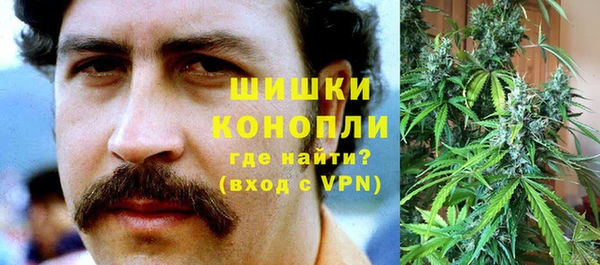 мдпв Лагань